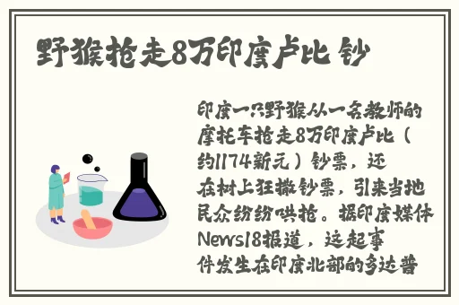 ysl蜜桃色专区